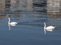 Givet CabrioFun 0061