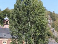 Givet CabrioFun 0146