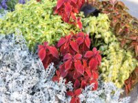 Givet CabrioFun 0227