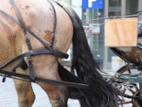 0031 - Dresden 2014