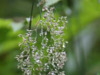 0026 - Lichtenhainer Wasserfall