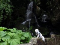 0046 - Lichtenhainer Wasserfall