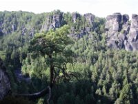 0161 - Bastei 2015