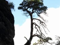 0179 - Bastei 2015