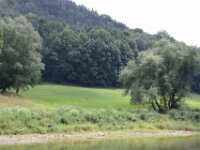 0135 - Dampfschiff 2014