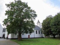 06 - St. Godelieve - Gistel - 2014