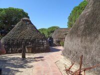 064 Donana
