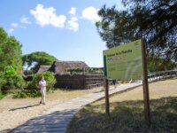 066 Donana
