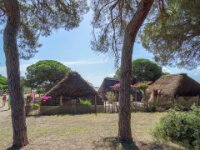 071 Donana