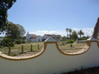 079 Donana