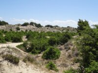117 Donana