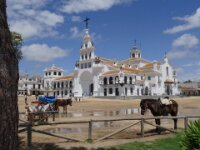 023 El Rocio