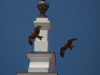 152 El Rocio