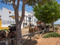 173 El Rocio