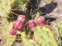 309 Chipiona Dag 6