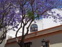164 Dag 7 Jerez
