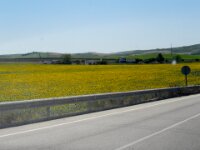 204 Dag 7 Jerez