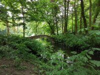 16 Waregem Baron Casier