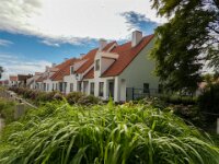 559 Beelden Lissewege