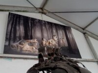629 Beelden Lissewege