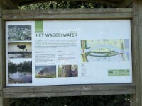 02 Waggelwater